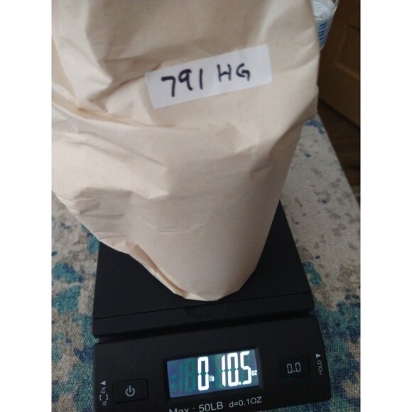 Kent Pottery Apple Design Tall White Porcelain Coffee Mug Garden Script - Picture 9 of 9